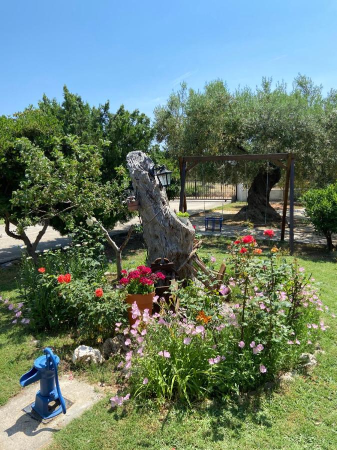 Wine & Olive Studio Gerakini Exterior foto